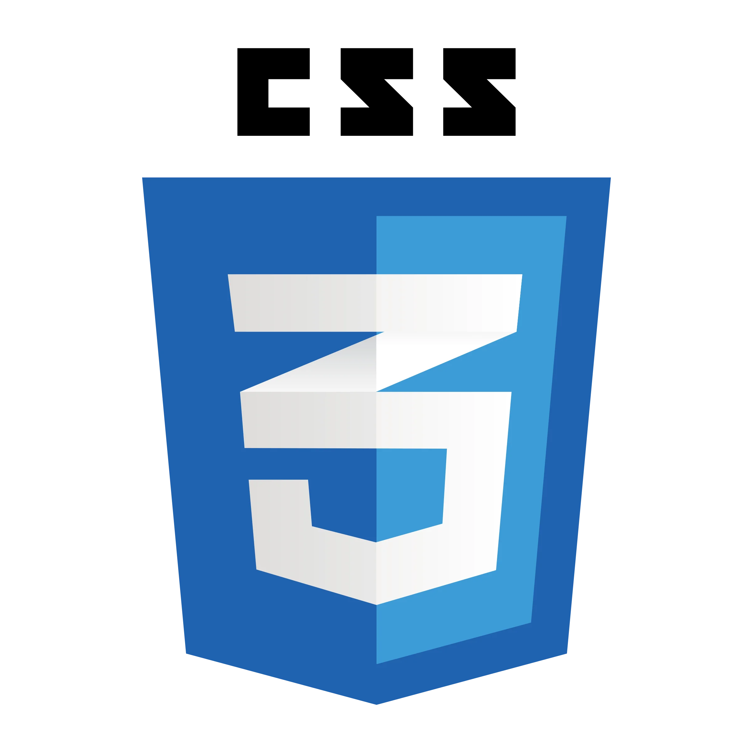 Styled with Custom CSS CSS Logo